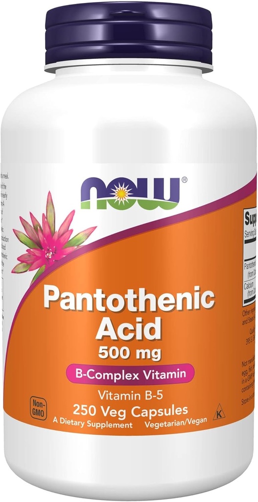 Şimdi Gıdalar Tamamlıyor,Pantothenic Acid (Vitamin B-5) 500 mg,B-Complex Vitamin,250 Capsules
