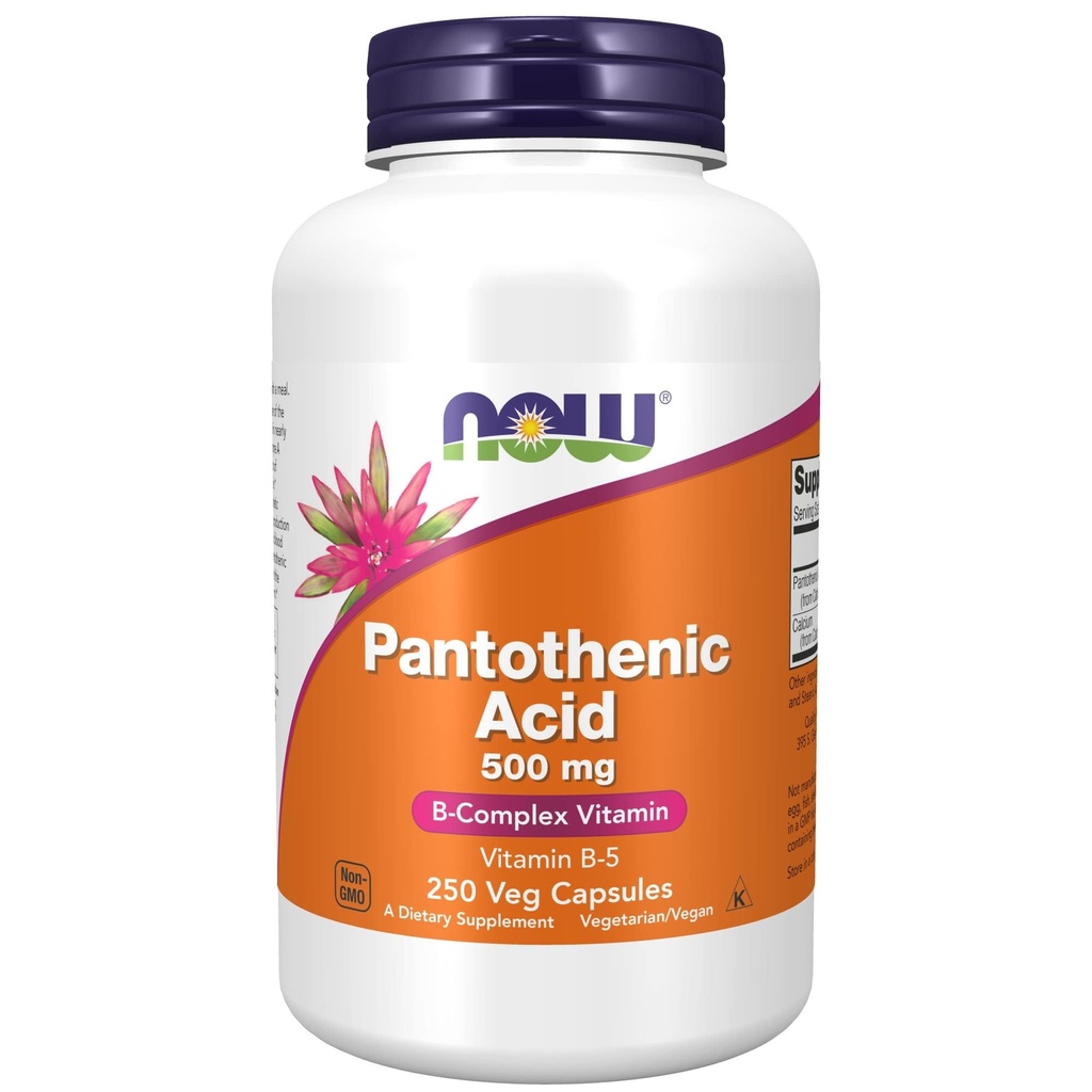 Şimdi Gıdalar Tamamlıyor,Pantothenic Acid (Vitamin B-5) 500 mg,B-Complex Vitamin,250 Capsules