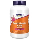 Şimdi Gıdalar Tamamlıyor,Pantothenic Acid (Vitamin B-5) 500 mg,B-Complex Vitamin,250 Capsules