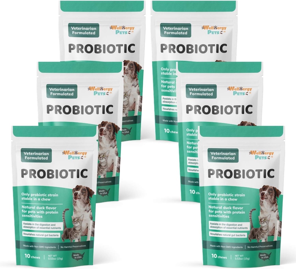 Wellnergy Daily Probiyotik & Prebiyotiks Soft Chew for Dogs & Cats - Digestive Support for Diarrhea, Constipation, Upset Stomach, Indigestion & Gas - Helps Digestion, Alerji Skin & Immune Health 60ct