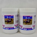 B12 Atlar için - Equine Vitaminleri B-12 & B-9 Folic Asit Desteği Toz - Enerji At Supplement - 2.5 Pounds, (2 Pack)