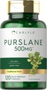 Carlyle Purslane Capsules | 500 mg | 120 Kont | Portulaca Oleracea Extract | Non-GMO, Gluten Free Supplement Supplement