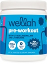 Wellah Get-Going Pre-Workout Drink Mix (Mavi Raspberry Flavored, 30 Hizmet)