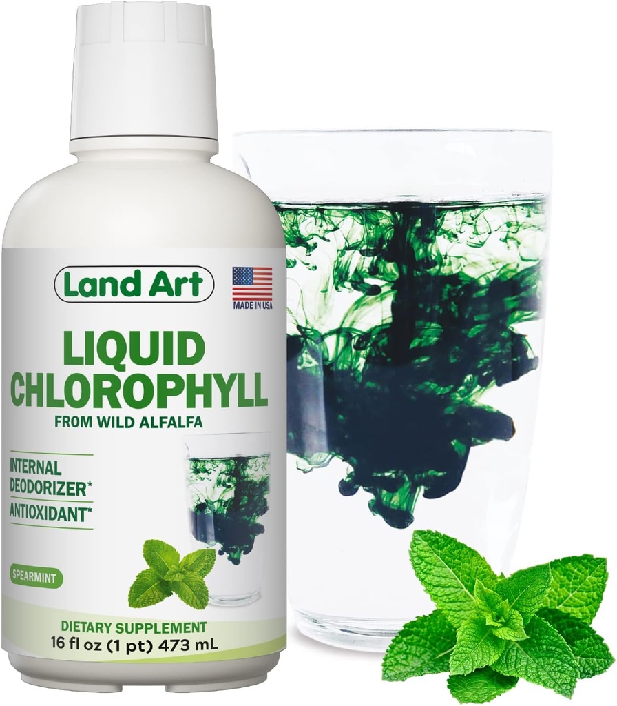 Land Art - Sıvı Klorophyll Mint - Vahşi Non-GMO Alfalfa - Doğal Clorofila Sıvı - Antioksi - Detox Supplement – Enerjiyi artırmak – alkalik ve Body Odor Neutralizer – 16 floz