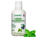 Land Art - Sıvı Klorophyll Mint - Vahşi Non-GMO Alfalfa - Doğal Clorofila Sıvı - Antioksi - Detox Supplement – Enerjiyi artırmak – alkalik ve Body Odor Neutralizer – 16 floz