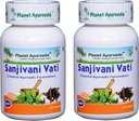 Planet Ayurveda Sanjivani Vati - Herbal Tabletleri,% 100 Doğal ve Saf - 2 Şişe (Her Şişe 120 Tablet)