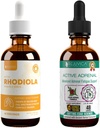 Rejuvica Health Active Rhodiola + Active Adrenal - Υποστήριξη Ενέργειας + Άγχος - Υγρή Παράδοση για Καλύτερη Απορρόφηση - Rhodiola, Ashwagandha, Holy Basil & More!