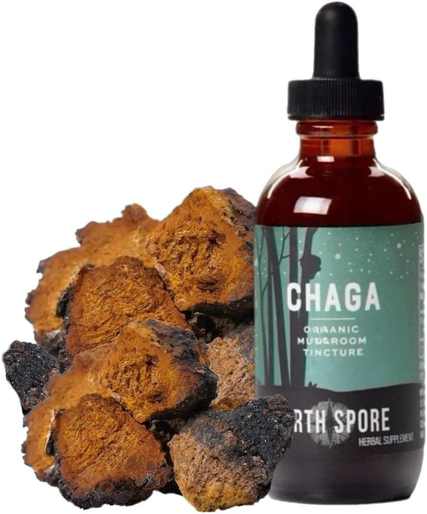 North Spore Chaga Mushroom Tincture | Enerji & Sağlık Tamamlama Tamam Drops | Adaptojenik Superfood | Dual Extract Organic Blend, 100% Meyveli Bodies | Non-GMO, Vegan - 2oz
