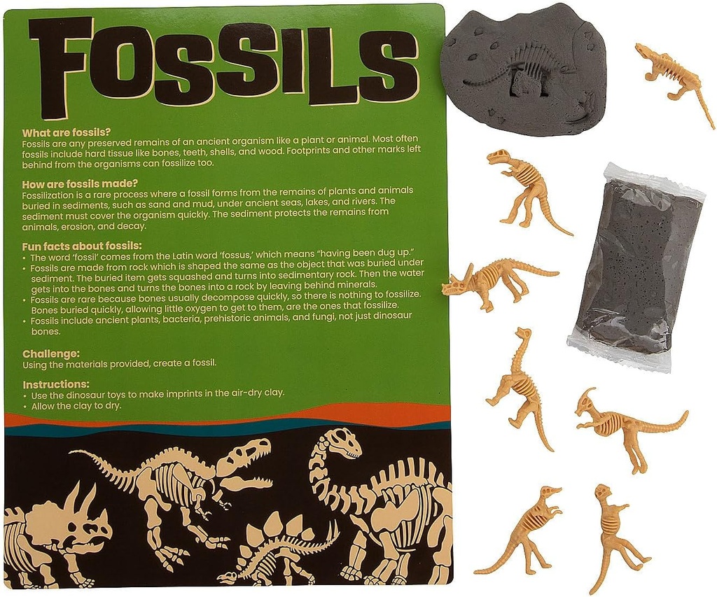 Fun Express Kendi Fossil Craft Kitini Yapar - 12