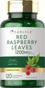 Carlyle Red Raspberry Leaf Capsules | 120 Count | Non-GMO and Gluten Free Formula | Traditional Herbal Extract