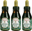 3,00ario Silvestre Bee Pollen & Brezilya Yeşil Arı Propolisi - Glycolic Extract-Non Alkolic, Wax Free, Sugar Free