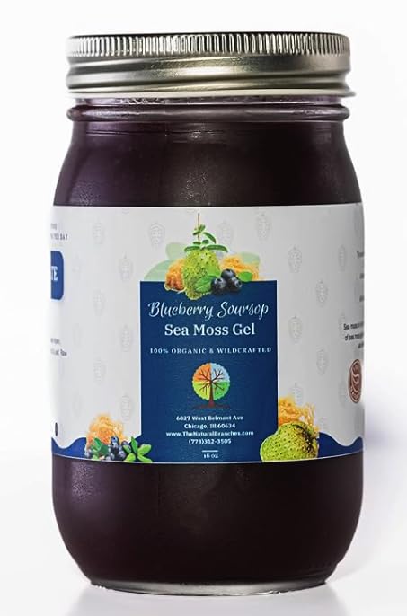 Organik Blueberry ve Soursop Fruit Sea Moss Gel 16oz - Al Natural & Sertifikalı USDA Organik Seamoss Gel - Wildcrafted Saint Lucia SeaMoss jel - ABD'de Proudly Made in the USA