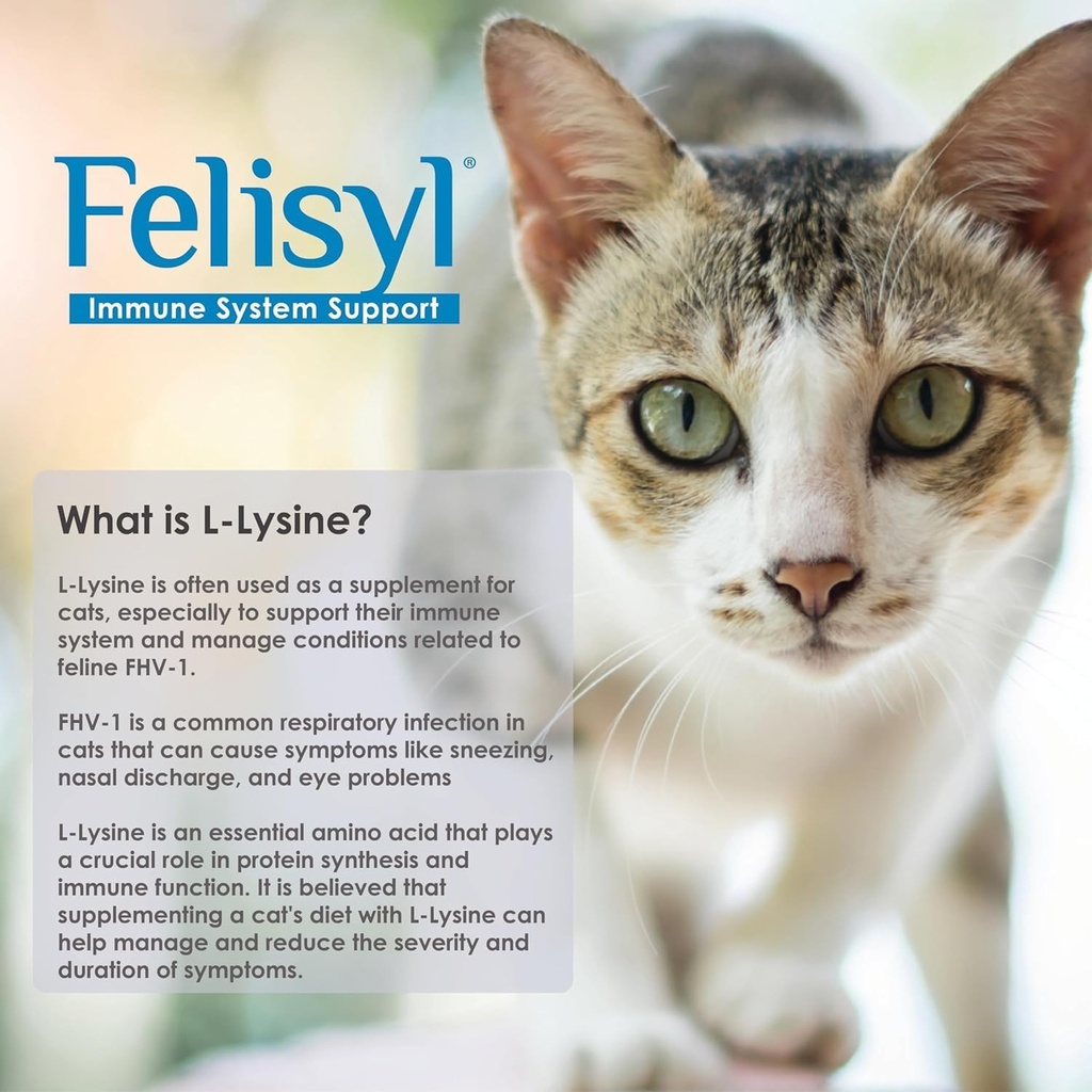 L-Lysine Gel για γάτες - Υποστήριξη ανοσοποιητικού συστήματος - Υποστήριξη συμπλήρωμα για υγιή ιστό, αναπνευστικό και όραμα - Σολομός-Flavored - Made in The USA - 5 oz