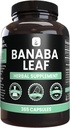 PURE ORIGINAL INGREDIENTS Banaba Leaf Extract (365 Κάψουλες) Όχι Μαγνήσιο ή Ρύζι Fillers, πάντα καθαρό, Εργαστήριο Επαληθευμένο