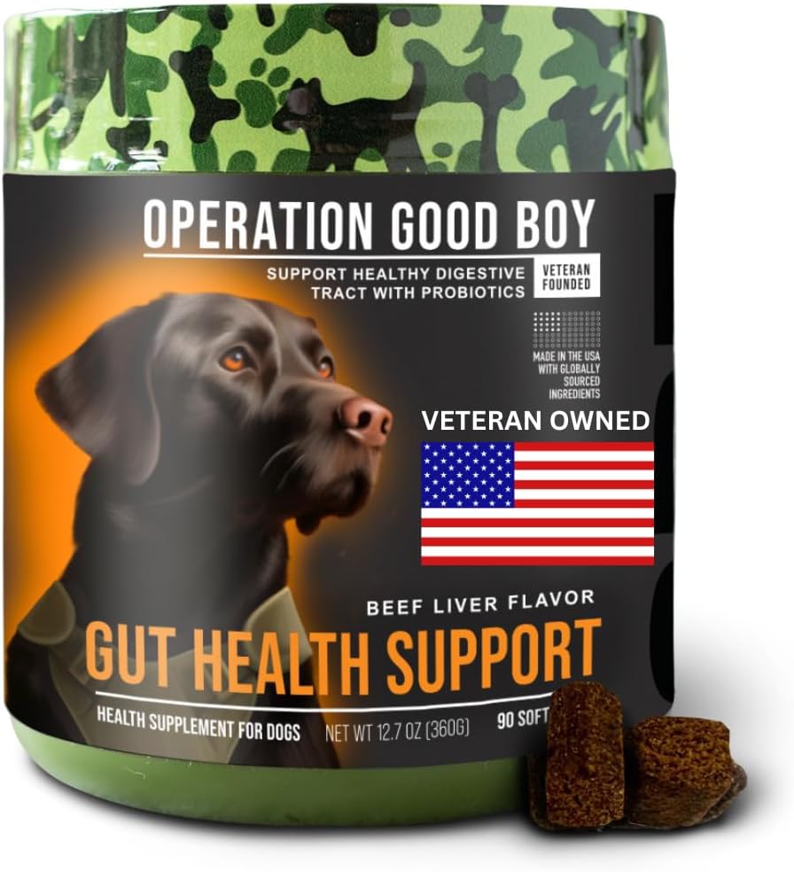 Good Boy Probiyotiks for Dogs, Digestive Health Supplement for Pets, Daily Probiyotik Chews – 90 Yumuşak Tedaviler, Doğal Malzemeler, Gazi Kendileri - Beef Flavored