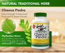 Chanca Piedra 500 mg 60 Capsules (Stonebreaker) - Kidney, Stone ve Urinary Health, Kidney Stone Supplement