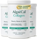 ALGAECAL Collagen - 4 Klinik olarak Desteklenen VER VERISOL®, FORTIGEL®, UC-II®, FORTIBONE®, Anti-Aging Hydrolyzed Collagen Toz, 3 Packs, ABD'de Yapıldı