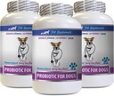 Dog Gut Health - PROBIOTICS for Dogs - Healthy Gut - Στάση αερίου Διάρροια και κακή αναπνοή - Digestive Boost - προβιοτική Gut Health - 3 μπουκάλια (180 θεραπείες)