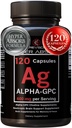 Alpha GPC Supplement & BioPerine for Hyper Abxia - 120 Kont, Alpha-GPC 600 mg per Service - Nootropics for Memory, Focus, Energy, & Drive - Choline Supplements to Boost Acetylcholine, Made in USA