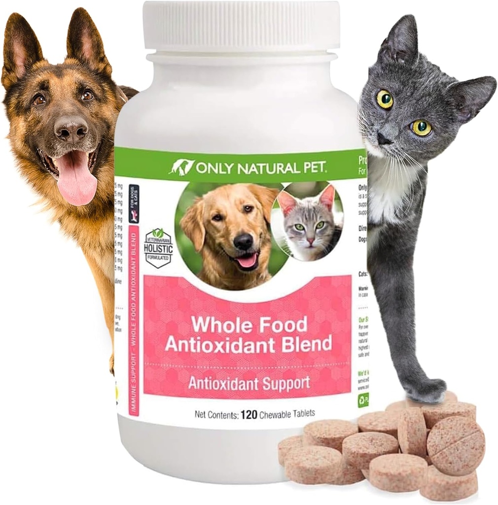 Sadece Doğal Pet Tüm Gıda Antioksi Yeşil Çay & Berry Köpekler için Antioksi Vitamin Tamamı, Sağlıklı Immune Sistemini Desteklemek, Özgür Radikal Hasarla Mücadele Etmek - 60 Yumuşak Chews