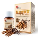 Wild Cordyceps Plus – Tibet Wild Wild Cordyceps & 5 Cultivated Cordyceps for Immune, Energy & Lung Support – 60 Capsules