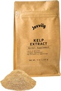 Kelp Extract Toz - 4 oz - Superfood - Hayır Katkıları - Her zaman Saf