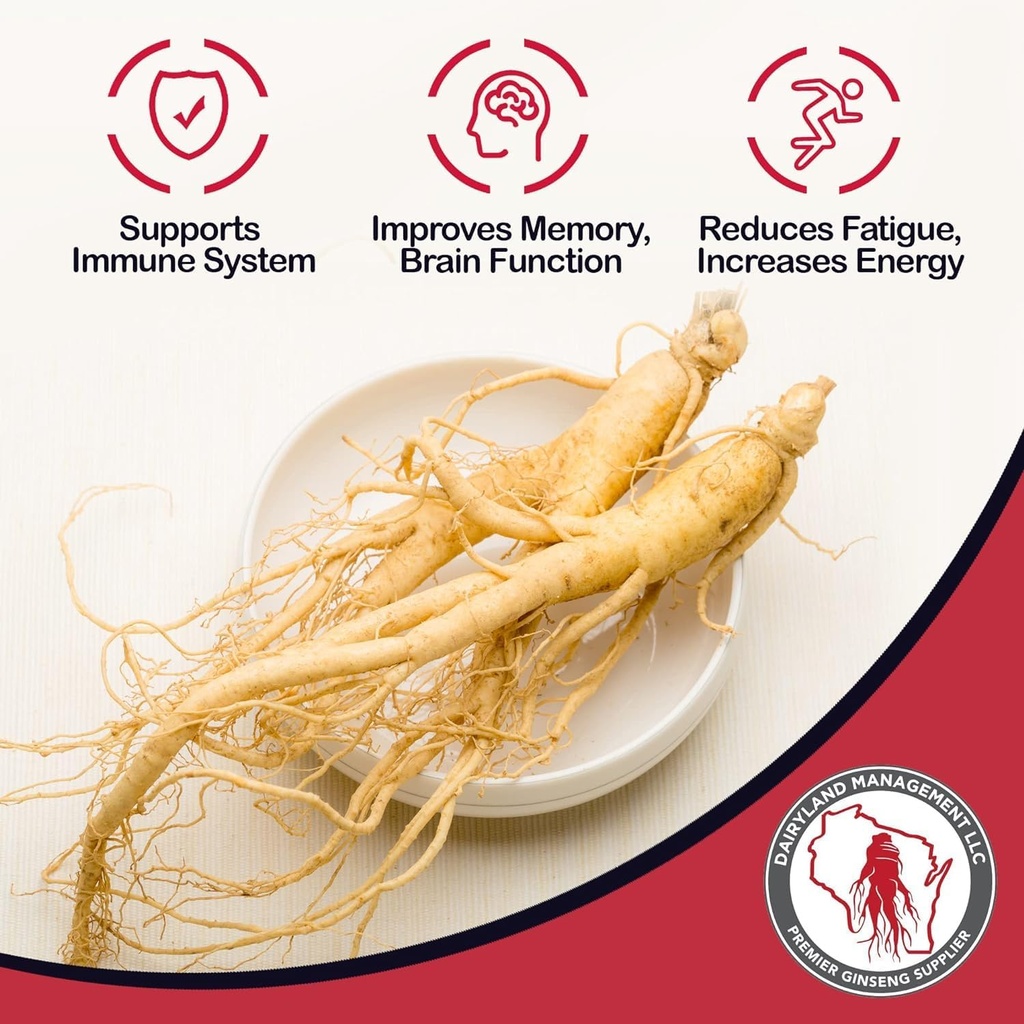Dairyland American Ginseng Slices - 4 oz Pack Wisconsin Ginseng Slices – Certified Something Special from Wisconsin - Non-GMO, Gluten Free Sliced Root - Herbal Supplement in Soup, Tea, Congee