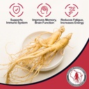 Dairyland American Ginseng Slices - 4 oz Pack Wisconsin Ginseng Slices – Certified Something Special from Wisconsin - Μη ΓΤΟ, Χωρίς γλουτένη Sliced Root - συμπλήρωμα βοτάνων σε σούπα, τσάι, Congee