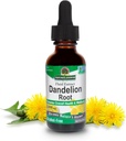 Nature's Answer Dandelion Root 2000 mg 1oz Ekstraksiyon | Genel Olarak İyi Olmak | Alkol & Gluten Free, Non-GMO, Vegan, Hiçbir Preservatif veya Yapay Flavors | Single Count
