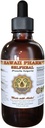 Selfheal Liquid Extract, Organik Selfheal (Prunella Vulgaris) Tincture, Herbal Supplement, Hawaii Pharm, ABD'de 4 fl.oz