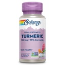SOLARAY Turmeric Supplement 300 mg - Turmeric Root Extract with 95 Curcumin - Ortak Sağlık ve Konfor için Ortak Destek Supplement - Non-GMO, Vegan, Gluten Free, 60 Günlük Garanti, 60 Hizmet