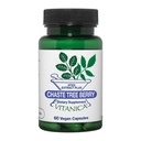 Vitanica, Chaste Tree Berry, Vitex Extract Plus, Vegan, 60 κάψουλες