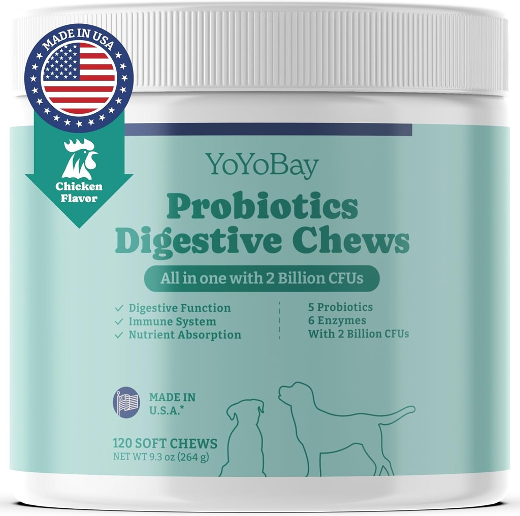 Köpekler, Köpek Probiyotikleri ve Enzymes ile Probiyotikler, Gut & Digestive Health ve Yeast Balance için, Destek Immune System, Chicken Flavor, 120 Soft Chews