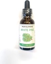 Four Elements 4E White Pine Tincture,% 100 sertifikalı Fresh Organic Herb Extract, 1 FL OZ