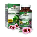 Nature's Answer Echinacea & Goldenseal | Diyetsel Supplement | Sağlıklı Immune System | Non-GMO & Kosher Sertifikalı | Vejetary /Vegan Capsules 90ct