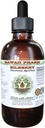 Bilberry Alcohol-Free Liquid Extract, Organic Bilberry (Vaccinium myrtillus) Dried Leaf Glycerite Hawaii Pharm Natural Herbal Supplement 2 oz