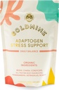 Goldmine Adaptogens Superfoods | Reishi Organik Mushroom Toz | Adaptogen Stres Desteği ve Günlük Denge Toplantısı (227 Grams, Pouch)