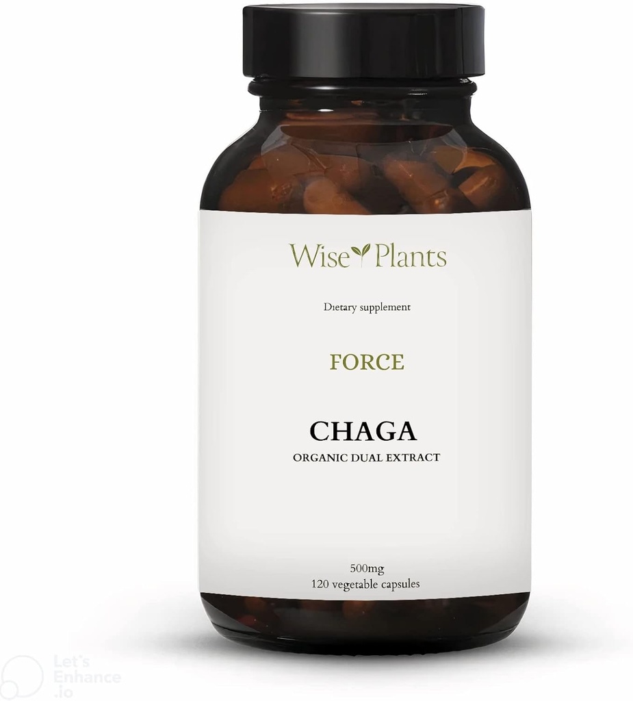 Chaga Mushroom Supplement. Dual Extract, Pure Fruiting Body, %30 Polysaccharides, 500 mg, 120 vegecaps (120-Day Supply). Sağlıklı sindirim, bağışıklık fonksiyonunu destekler ve kalp sağlığını teşvik edebilir.