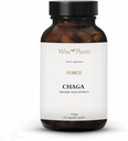 Chaga Mushroom Supplement. Dual Extract, Pure Fruiting Body, %30 Polysaccharides, 500 mg, 120 vegecaps (120-Day Supply). Sağlıklı sindirim, bağışıklık fonksiyonunu destekler ve kalp sağlığını teşvik edebilir.