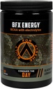 BFX Energy Pre Workout Toz Supplement (BlackBerry Lemonade) BCAA, Electrolytes ve Green Tea Leaf for Natural Caffeine, Intra and Post Workout Muscle Recovery, 30 Servisler
