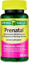 Hamile ve Hemşirelik Kadın Diyet Tamam Tabletleri için Prenatal Multivitamin/Multimineral, 100 Count
