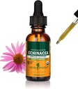 Βότανο Pharm Certified Organic Echinacea Root Liquid Extract για την υποστήριξη του ανοσοποιητικού συστήματος, οργανικό αλκοόλ από ζαχαροκάλαμο, 1 ουγγιά (DECH01)