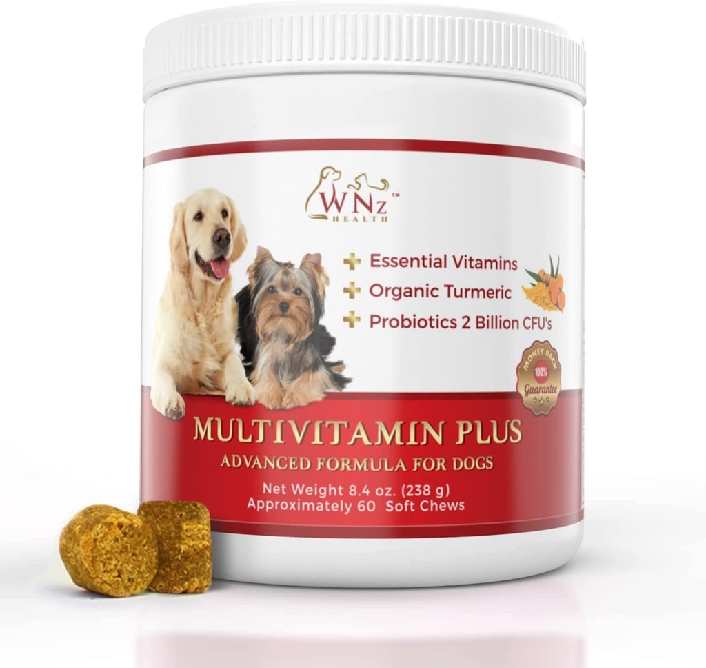 Dog Multivitamins and Supplements, Probiyotiks for Dogs w/Turmeric & Yucca, Probiyotik Dog Chews for Brain Function, Gut & Immune Support, Ortak Sağlık & Anti-Inflammatory Supplement, 60 Chews, 8.4 ozz