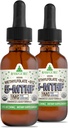 RawGuru Methylfolate 1mg+ Vitamin B12 - Organic Vegan Methylated B12 with Trace Minerals - Nano-Processed & Enhanced Liquid Formula - 300 Servings of Vegan Drops per 30 ml, Pack of 2