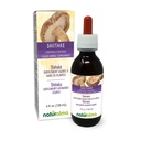 Naturalma Shiitake (Lentinula edodes) Fungus veya Mushroom Alkol-Free Tincture 4 fl oz Liquid Extract in Drops | Herbal Supplement | Vegan | İtalya Ürün