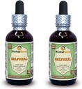 Selfheal (Prunella Vulgaris) Glycerite, Organik kuru Herb Alkol-FREE Sıvı Ekstraksiyon (Brand adı: HerbalTerra, Proudly made in USA) 2x2 fl.oz (2x60 ml)