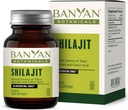 Banyan Botaniks Shilajit – Organik ve Sürdürülebilir Mineral Saha – Doğal Detoxification ve Sağlıklı Ağlama için Mineral-Rich Shilajit Supplement* – 90 Tablet – GMO Sustainable Sourced Vegan
