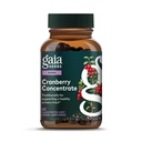 Gaia Herbs Cranberry - Urinary Tract Health'i korumanıza yardımcı olur - Organik Cranberry Meyve Suyu Ekstra Capsules - 60 Vegan Sıvı Phyto-Capsules (30-Day Supply)