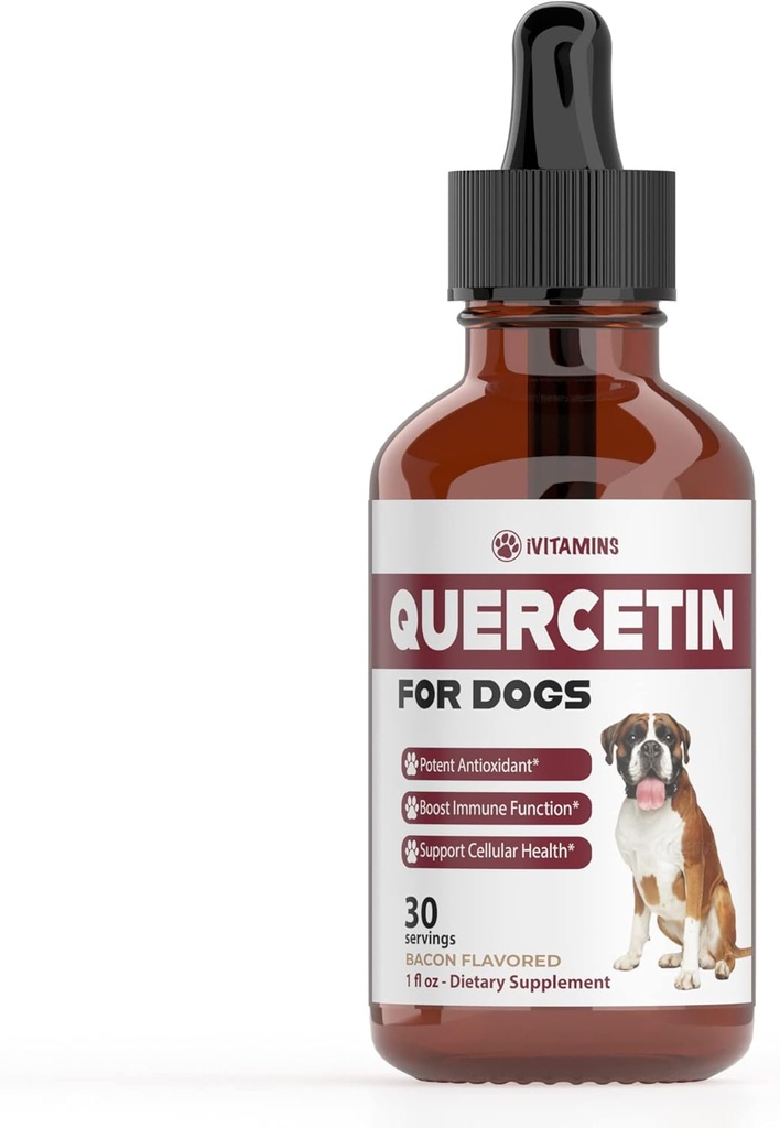 Köpekler için Quercetin | Köpek Alerjisi Yardımı | Köpek Tüm Enerjileri | Köpek Alerjileri | Quercetin | Köpek Alerji Desteği | Quercetin Dog | Dog Allergies | Quercetin Supplements | Bacon Flavor (1 Pack)
