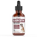 Köpekler için Quercetin | Köpek Alerjisi Yardımı | Köpek Tüm Enerjileri | Köpek Alerjileri | Quercetin | Köpek Alerji Desteği | Quercetin Dog | Dog Allergies | Quercetin Supplements | Bacon Flavor (1 Pack)